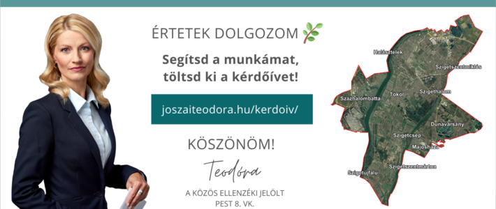 Teodóra kérdőíve Pest8