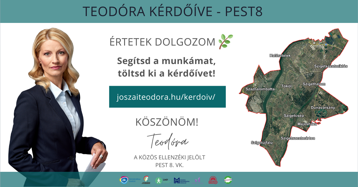 Teodóra kérdőíve Pest8